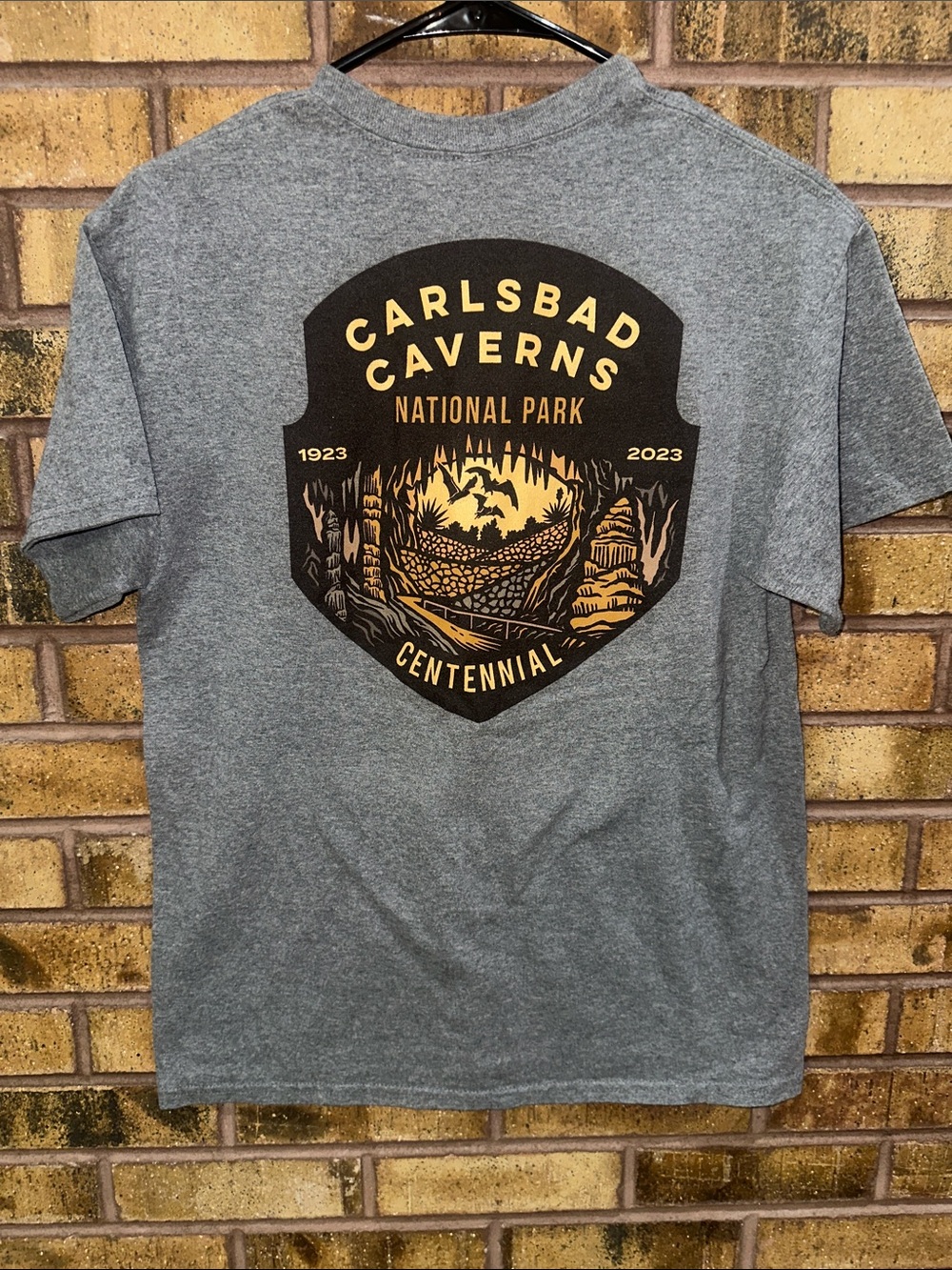 Gildan Gray Short-Sleeve Carlsbad Caverns Centennial Graphic Tee